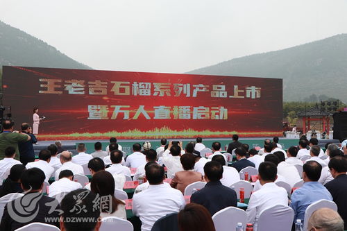 榴聚新動(dòng)能 2023石榴產(chǎn)業(yè)發(fā)展大會(huì)在棗莊開幕，共繪產(chǎn)業(yè)與文化交融新藍(lán)圖