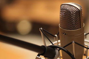 2019深圳文化傳媒公司注冊(cè)指南 聚焦文化藝術(shù)交流策劃